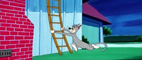 A turma do Tom & Jerry - EP_ A farra dos gatos ( Biblioteca de desenhos animados MGM cartoon)
