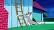 A turma do Tom & Jerry - EP_ A farra dos gatos ( Biblioteca de desenhos animados MGM cartoon)