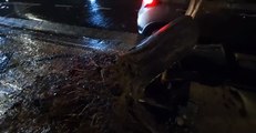 Queda de árvore destrói carro na Rua da Bahia, em BH