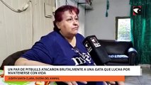 Un par de pitbulls atacaron brutalmente a una gata que lucha por mantenerse con vida