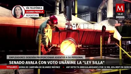 Pleno del Senado aprueba la 'Ley Silla'