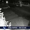 Holden Commodore stolen from Springhurst