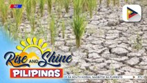 Mga hakbang para maibsan ang epekto ng El Niño sa bansa, puspusan