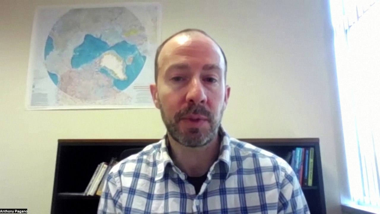 Loss of sea ice puts polar bears at risk: study