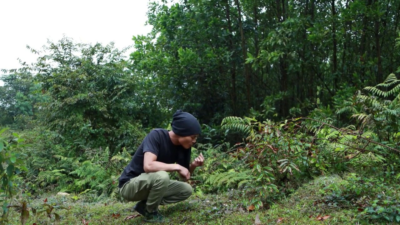 Going alone into the wilderness and deep mountains, I built a warm shelter on a cliff, it was too safe there.