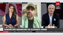 Activistas mexicanos denuncian abandono de elefanta Annie en Jalisco