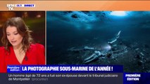 Un Suédois capture des ossements de baleine et remporte le prix de la photographie sous-marine de l'année