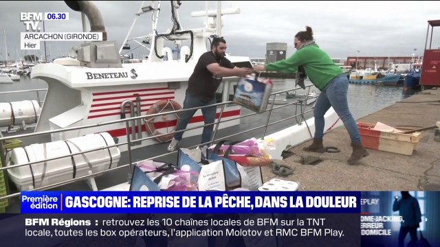 Golfe de Gascogne: retour à l'eau pour les pêcheurs, après un mois à quai pour protéger les dauphins