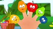 Fruits Finger Family, Preschool Song and Kindergarten Rhyme for Babies