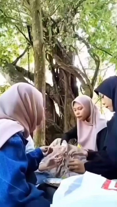 Numpang lewat neng