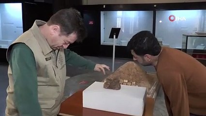 Denize sınırı olmayan ilimizde 15 milyon yıllık şaşırtan keşif