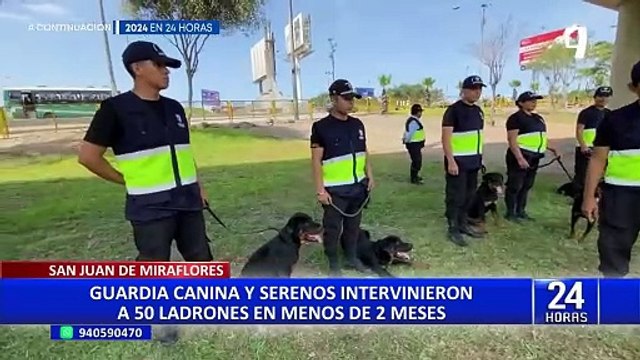 SJM: guardia canina y serenos capturaron 50 delincuentes en 2 meses