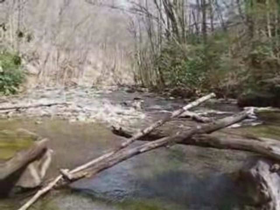 Mill Creek Hiking Trail