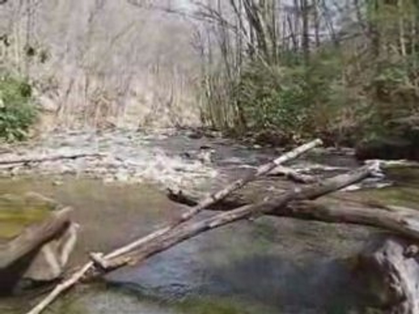 ⁣Mill Creek Hiking Trail