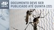 Governo de Santa Catarina promete decreto de emergência por dengue