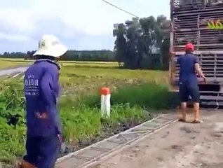 @قطيع من انواع البط الفرنساوى النادرةتشكل مشهدا رائعا