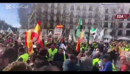 Vean el toro que han llevado los ganaderos hasta la Puerta de Alcalá