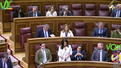 Pepa Millán, Sec. G.P. VOX Congreso. Pleno de 21.02.2024