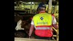 Ship carrying 19,000 cattle causes stench in Cape Town