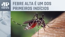 Dengue: Saiba quais são os sintomas