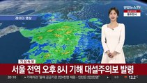 [날씨] 서울 전역 대설주의보…중부 밤사이 많은 눈