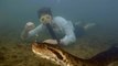 Watch: World’s biggest anaconda snake measuring 26ft-long and with ‘human-sized’ head found in Amazon
