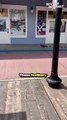 Quack-tastic Encounter | Mom and Daughter Meet Adorable Duck Parade!