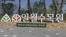 [경기] 수원 일월수목원, 전국 최초 '장애물 없는 생활환경 인증' 획득 / YTN