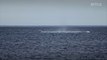 ARA San Juan: The Submarine that Disappeared - Official Trailer Netflix