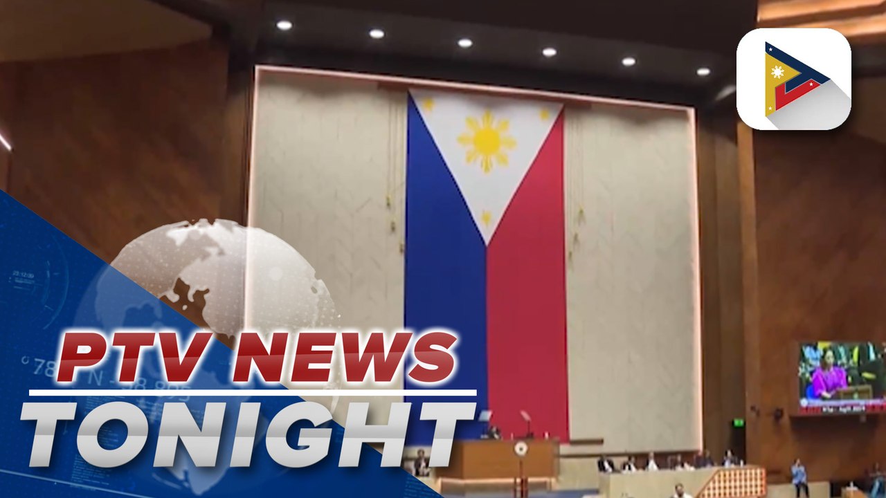 Lower house solons believe they are merely foll...