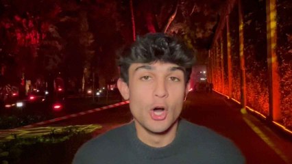 Así el Naturaleza Encendida: una forma diferente de ver el Alcázar de Sevilla