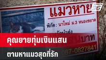คุณยายทุ่มเงินแสนตามหาแมวสุดที่รัก  | เข้มข่าวค่ำ | 21 ก.พ. 67