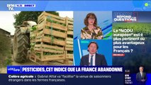 Pesticides: l'indice européen est-il plus pertinent ou plus avantageux pour les Français? BFMTV répond à vos questions