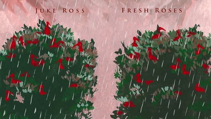 Juke Ross - Fresh Roses (Audio)