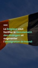 La Belgique veut faciliter le recrutement des étrangers et augmenter l'immigration de travail
