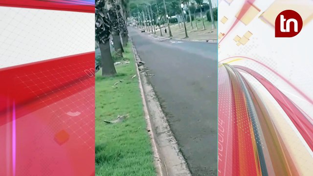 Motorista abandona ônibus após bagunça de estudantes no Paraná; vídeo