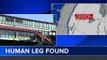 Etats-Unis : Une jambe humaine retrouvée le long des voies du métro de New York - La police ouvre une enquête pour retrouver le corps