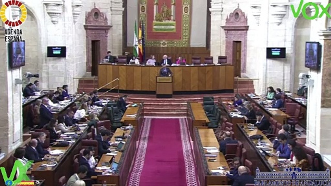 Manuel Gavira. Debate sobre PL relativa al Consejo Consultivo. Pleno de 21.02.2024