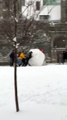 University of Toronto Students Make a Giant Snowman