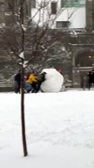 University of Toronto Students Make a Giant Snowman