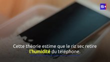 Apple affirme qu'il ne faut pas mettre un iPhone humide dans du riz