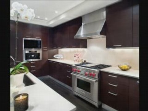 Austin Downtown Condos - the Austonian