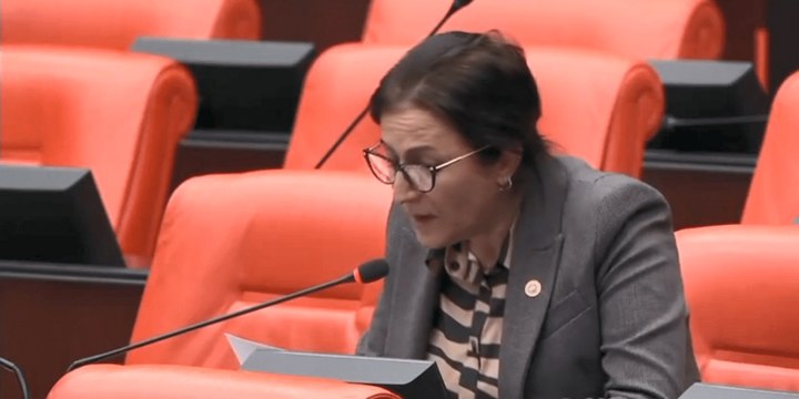 Anadil Günü'nde Meclis'te Kürtçe ve Lazca konuşan vekillerin mikrofonu kapatıldı