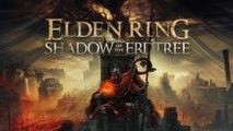 Elden Ring dévoile la date de sortie de son DLC, ça arrive très prochainement et il s' accompagne d'une version collector !