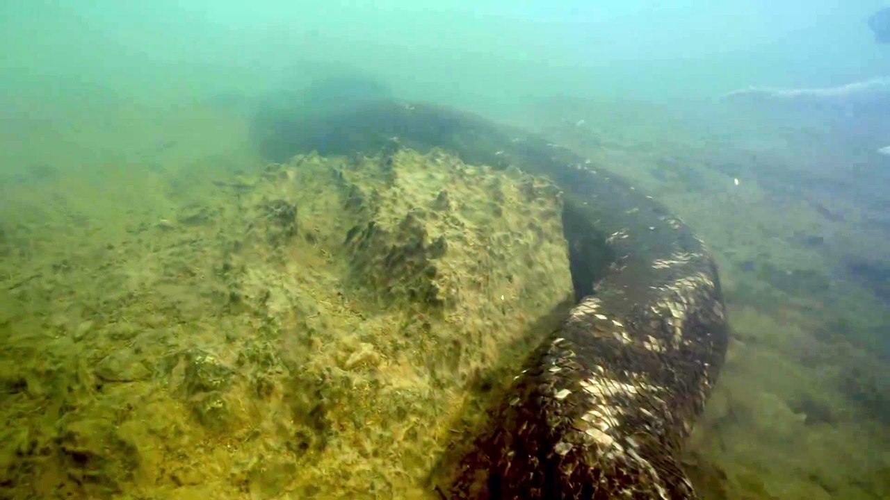 Anaconda gigante da Amazônia