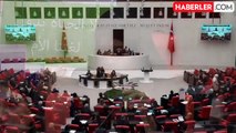 DEM Partili vekil TBMM'de Kürtçe konuştu, ortalık karıştı