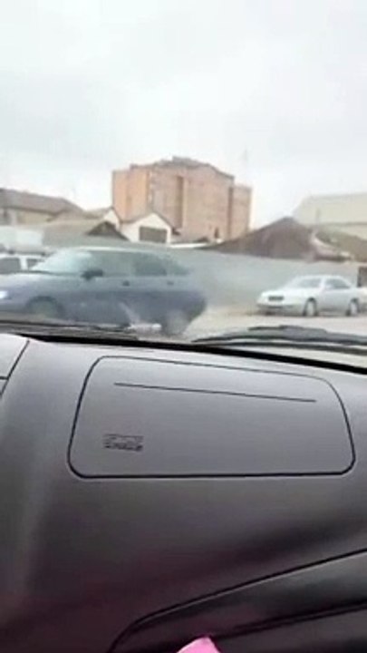 Quand un chat errant te choisi comme nouveau maitre