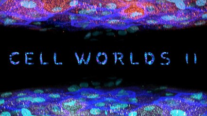 Cell Worlds II, Anomalies cellulaires #documentaire  #science