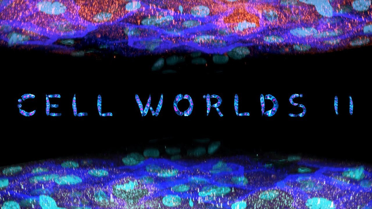 Cell Worlds II, Anomalies cellulaires #documentaire  #science