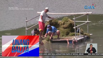 Pagtatanggal ng lumot sa Mananga River, isinagawa kasunod ng pagbaba ng antas ng tubig sa Jaclupan Dam | UB